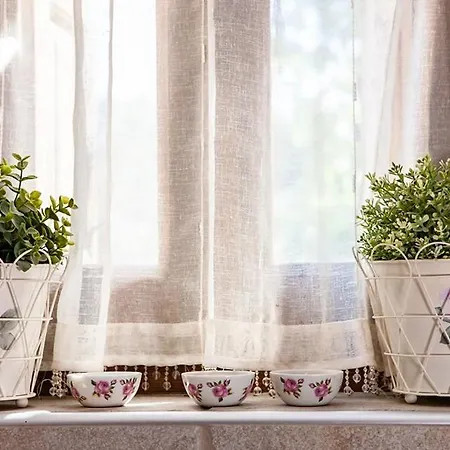 Virginaki Πορταριά